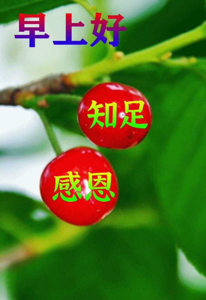 科技领域突破性进展的最新动态