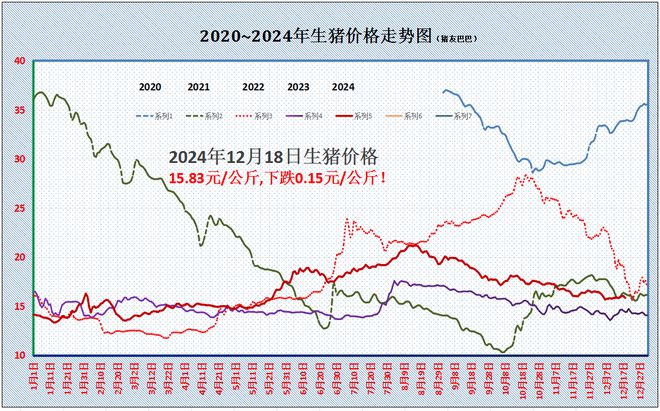 每日最新猪肉价格及市场动态深度解析